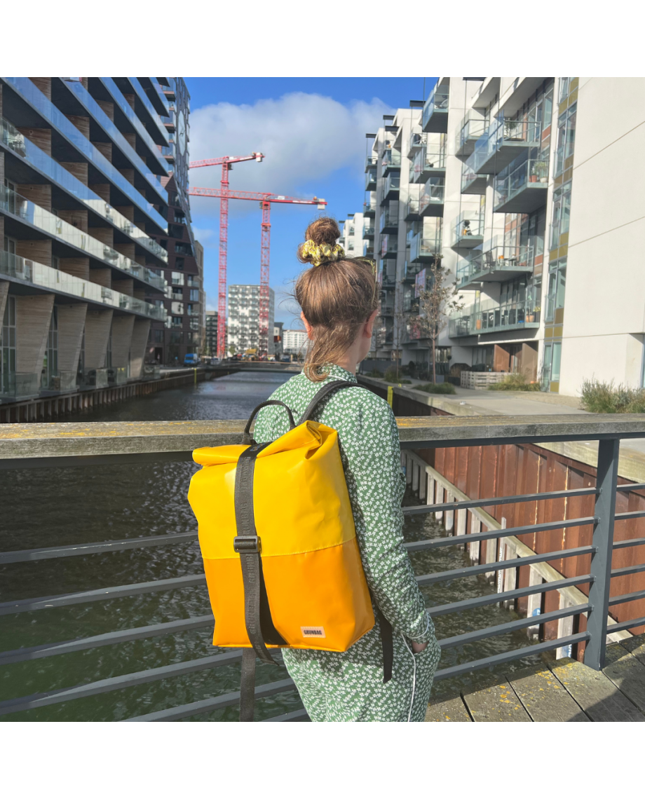 Two-colored Backpack Norr Strap